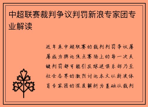 中超联赛裁判争议判罚新浪专家团专业解读