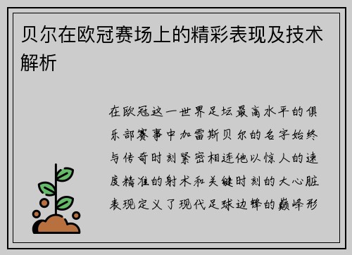 贝尔在欧冠赛场上的精彩表现及技术解析